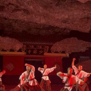 El-kung-fu-Una-ventana-de-la-cultura-China-al-mundo_.jpg