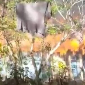 Lamentable-noticia-en-Salcedo-cuatro-haitianos-incluyendo-un-recien-nacido-sufren-quemaduras-graves-tras-una-explosion._.jpg