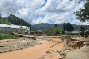 Las-intensas-lluvias-causan-estragos-en-los-predios-de-Tireo-en-Constanza._.jpg