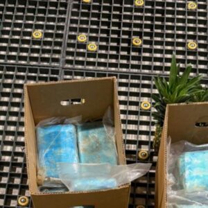 OPERACION-DE-INCAUTACION-COCAINA-EN-CAJAS-DE-PINA_.jpg