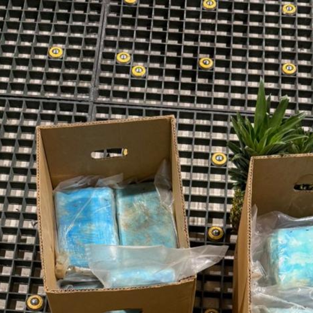 OPERACION-DE-INCAUTACION-COCAINA-EN-CAJAS-DE-PINA_.jpg