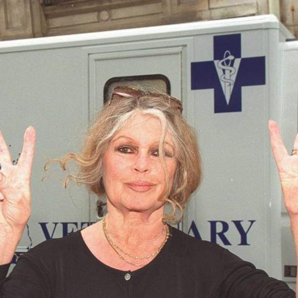 Brigitte-Bardot-regresa-a-casa-tras-su-hospitalizacion-en-Saint-Tropez_-1.jpg