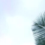 Jesaaelys Ayala y su esposo esperan la llegada de una niña